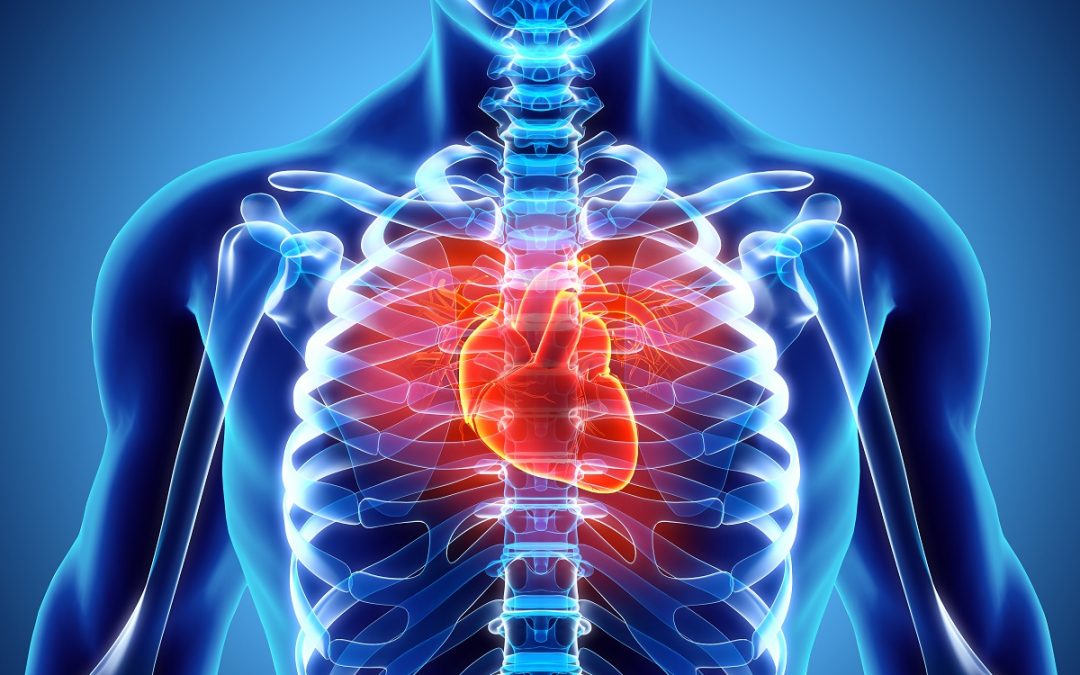 Heart Health And Spinal Function