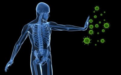 Chiropractic and Immune Function