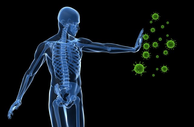 Chiropractic and Immune Function